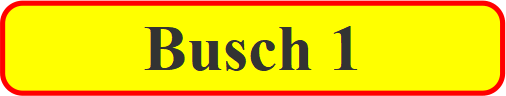 Busch 1